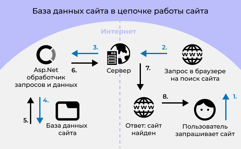 база данных сайта в цепочке работы сайта